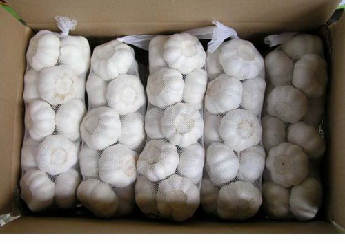 优质大蒜